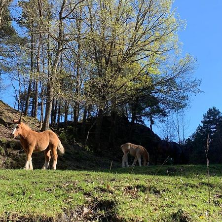 Appartement A Ordino Eksteriør billede